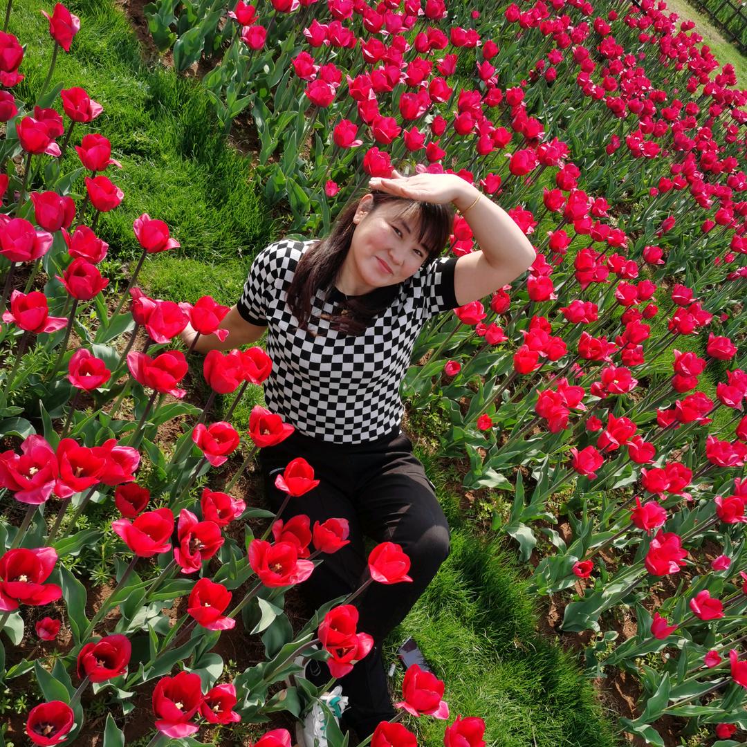 向日葵🌻🌻🌻🌻🌻🌻