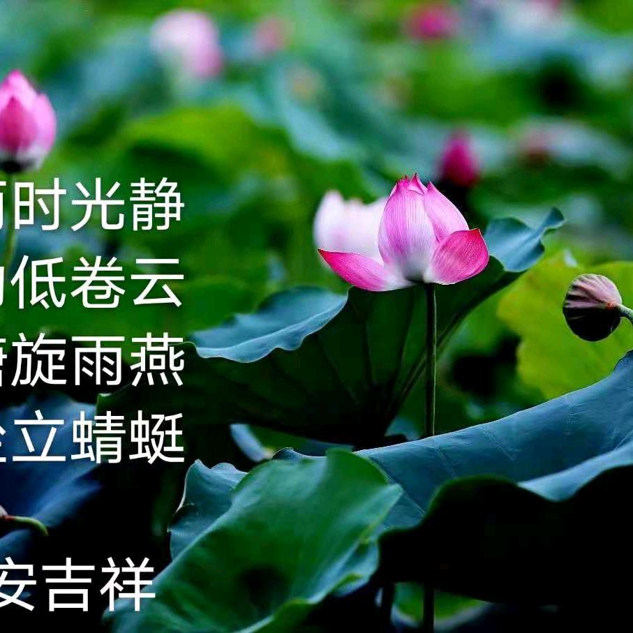 七色