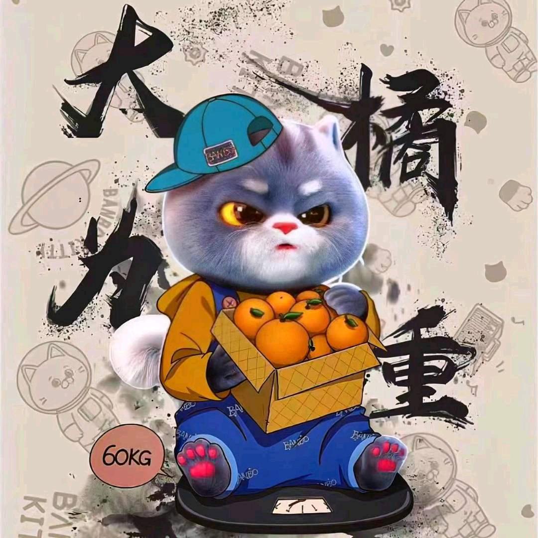 任豪0765