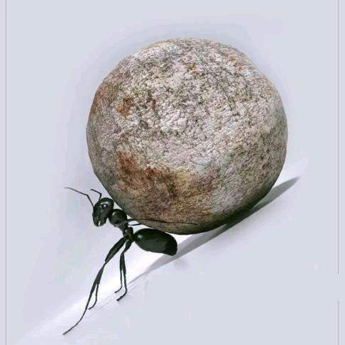 🐉欧耶