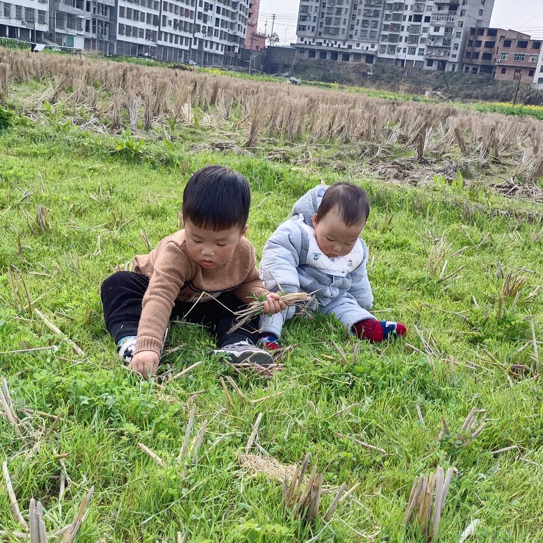 波颖辰阳