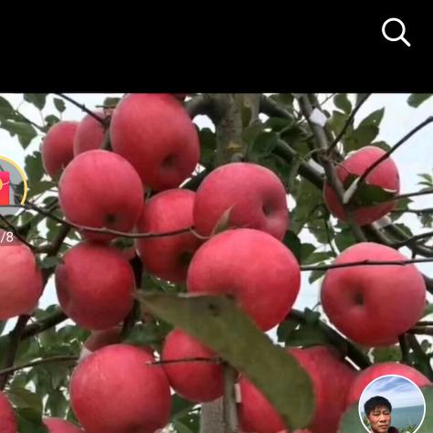 阳光总在风雨后我
