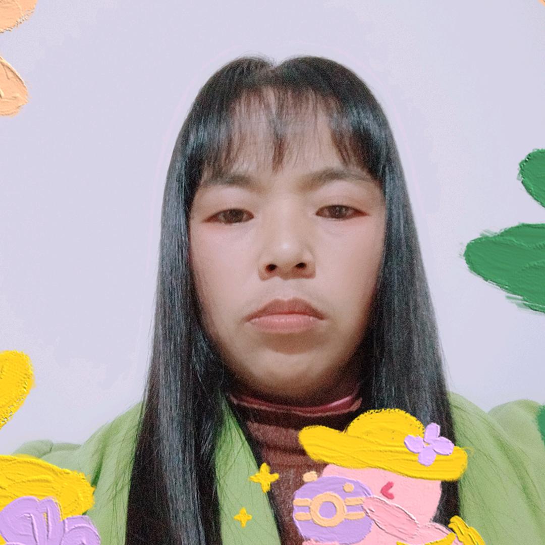 琴