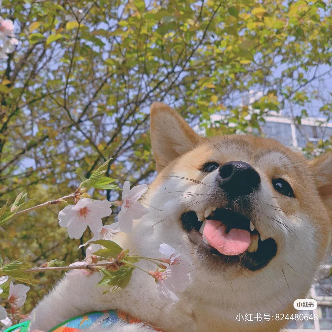 🌈古铜