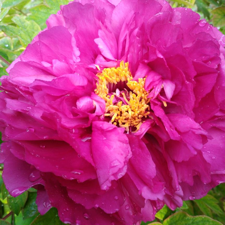 苹建康幸福快乐