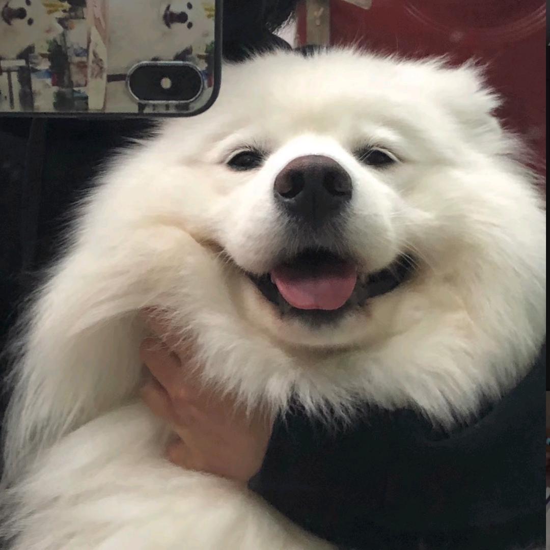 小小垣头像