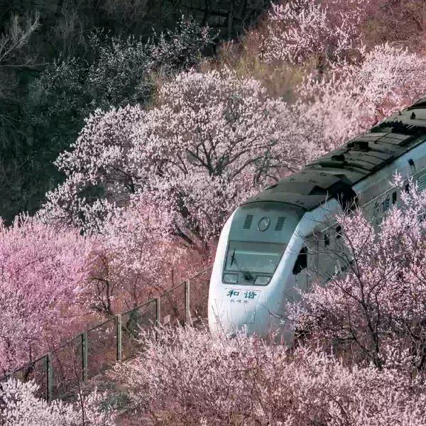 岁月吴忧