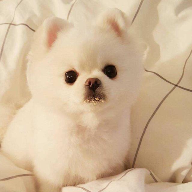 感恩蒙福