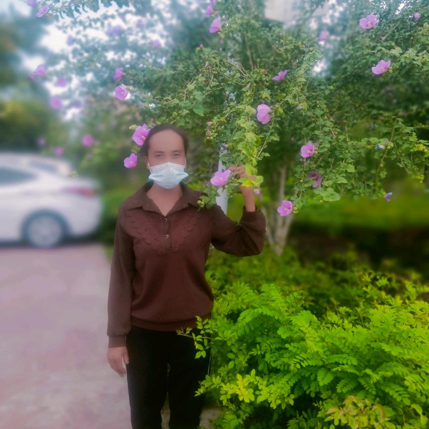 玫瑰🌹