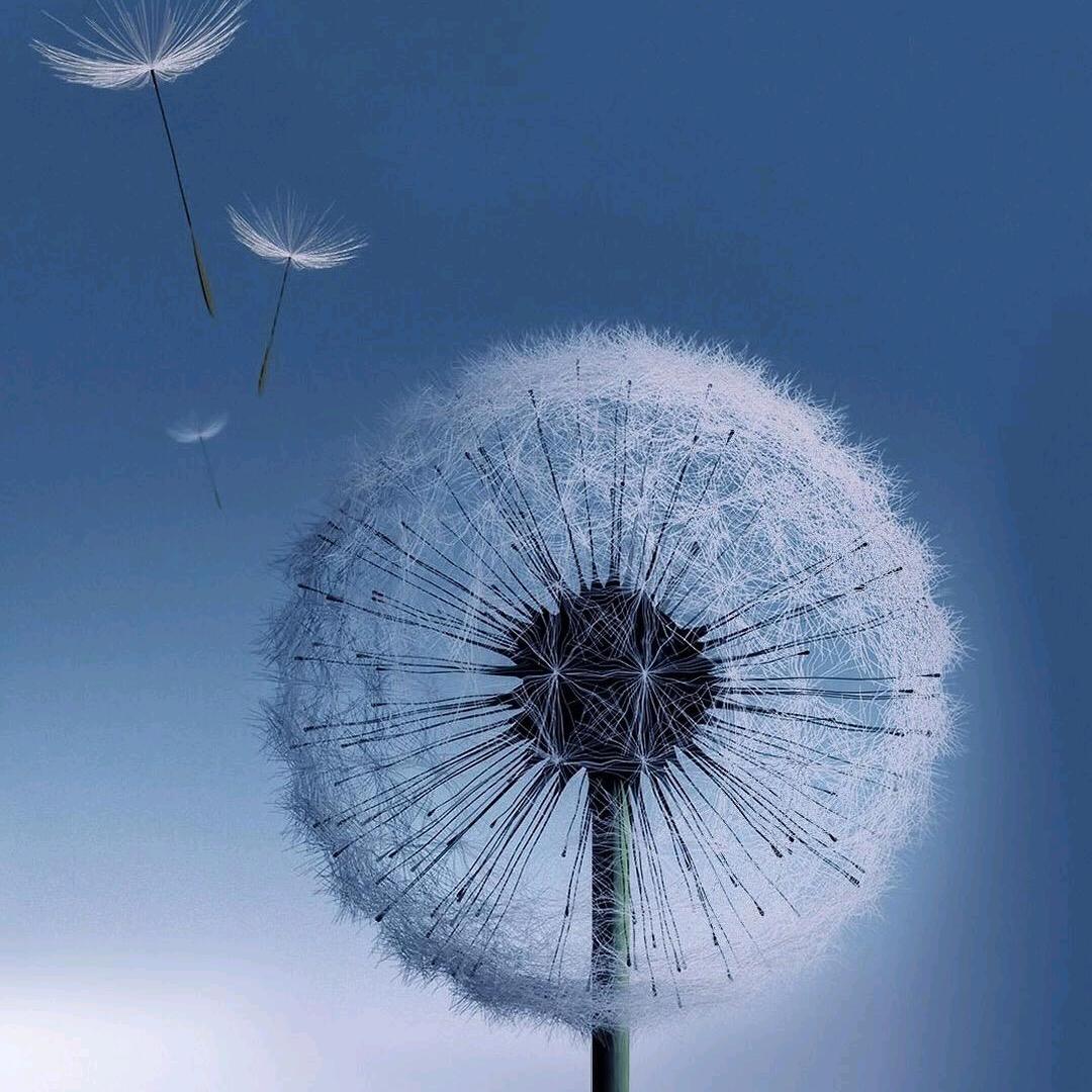 河南郑州鑫晟硕机械设备