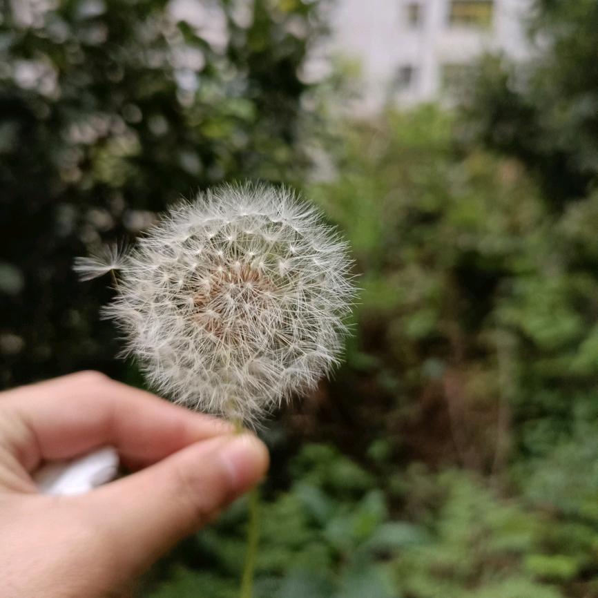 有无有无所谓