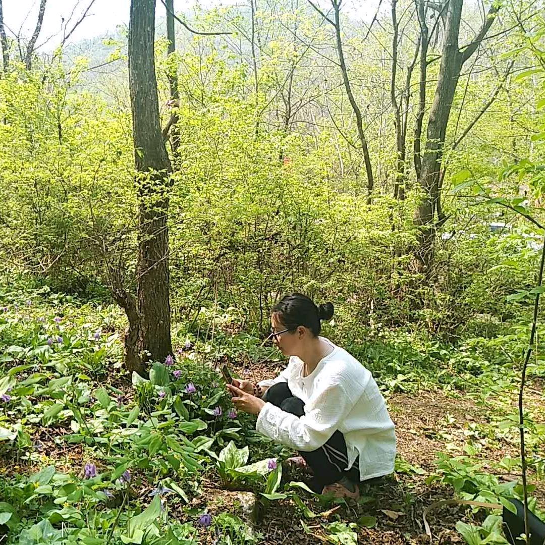 白山旮旯