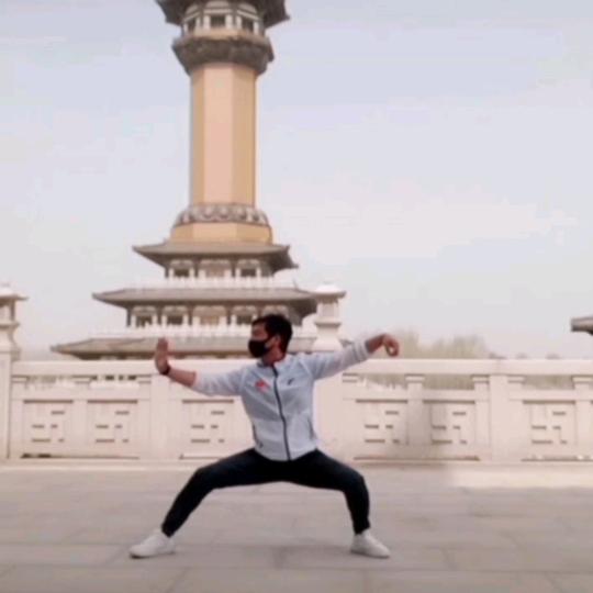 @汇英武术🇨🇳王攀
