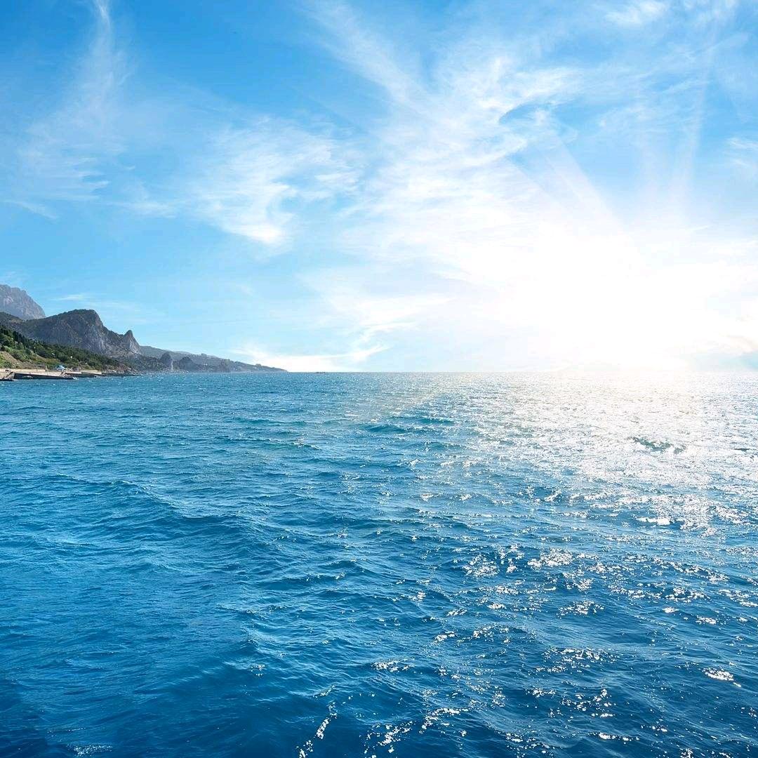 崔洪魁 (黄金批发寄售)