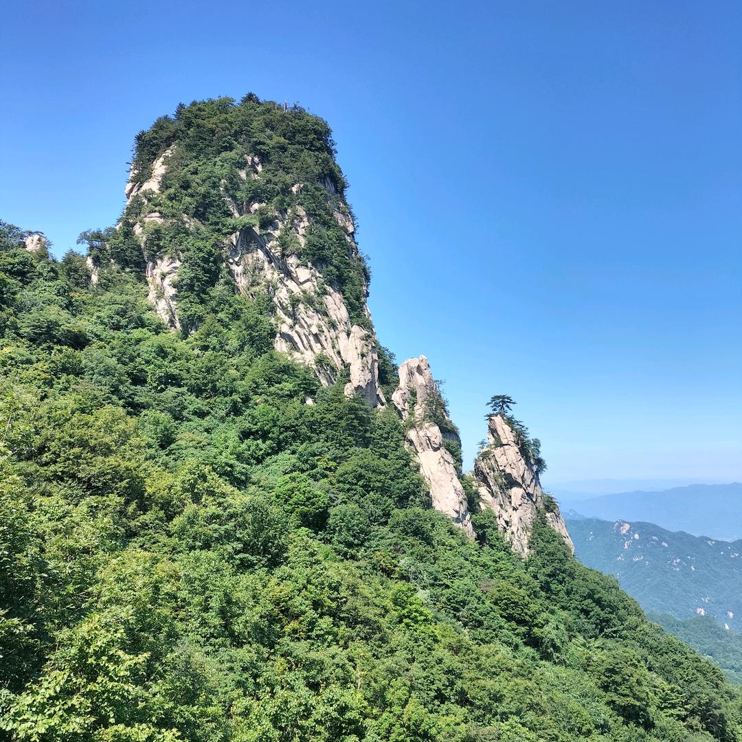 顺