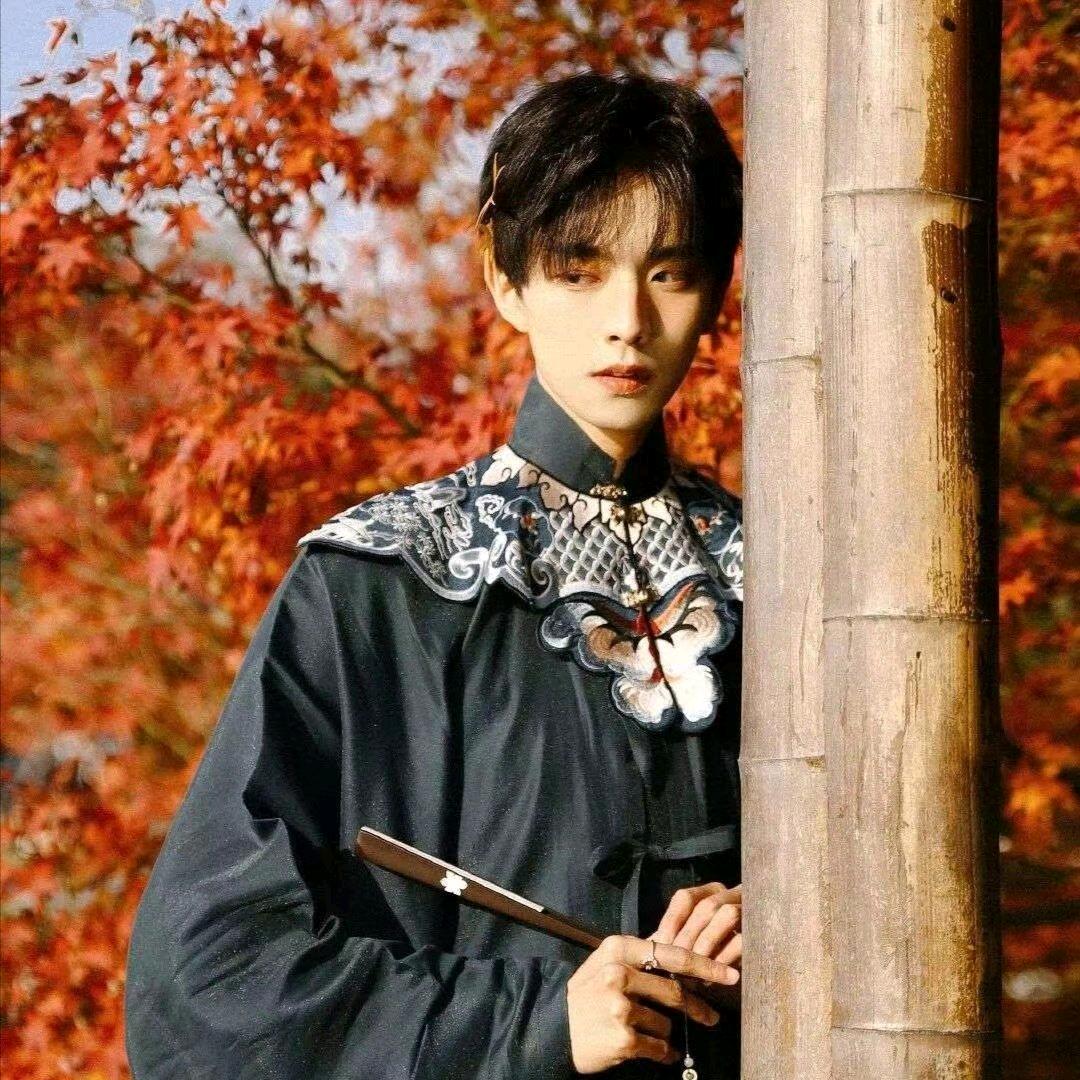 📷摄影琛琛爱跳舞