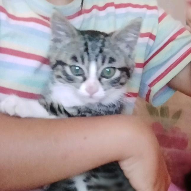 欣然依梦