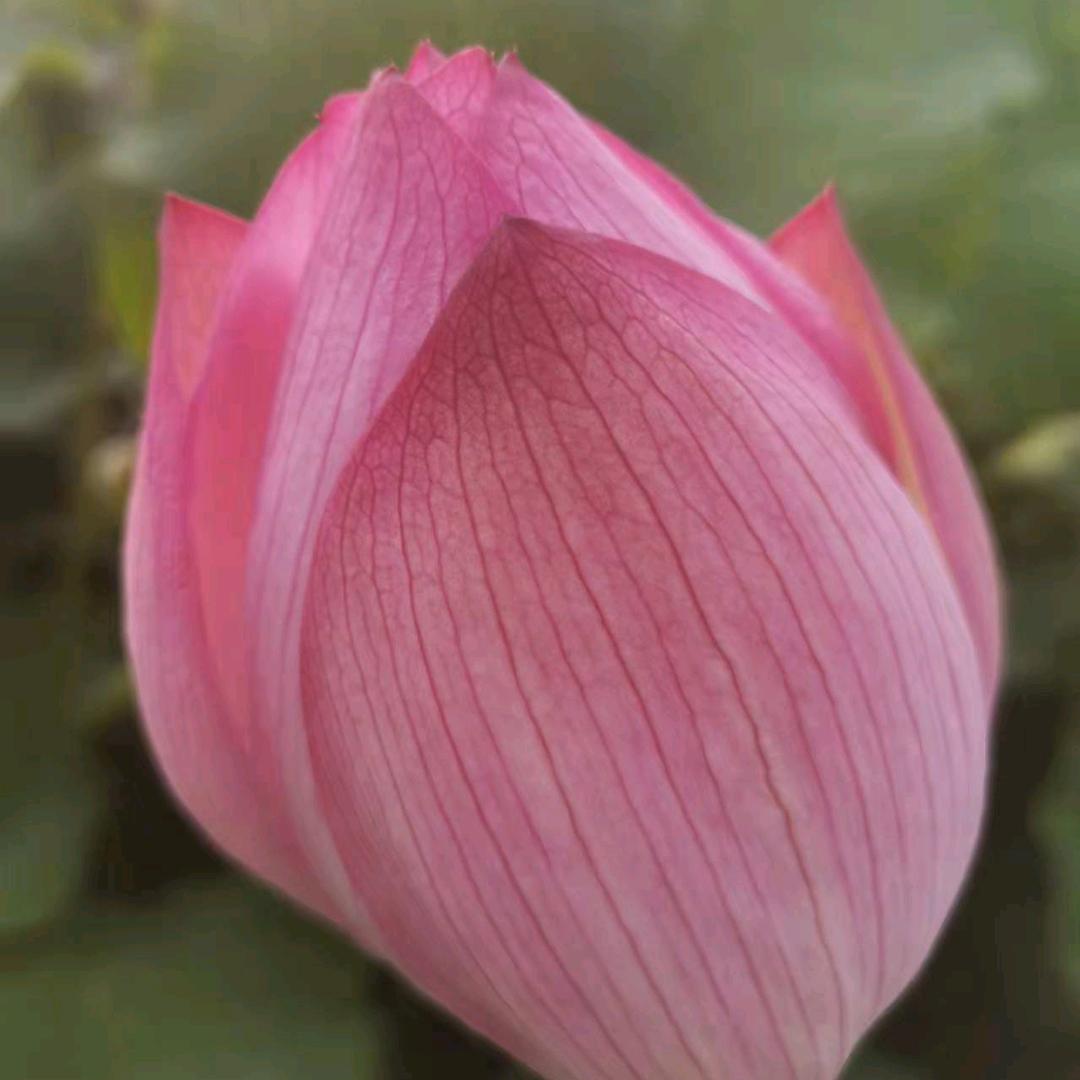 我相信明天会更好