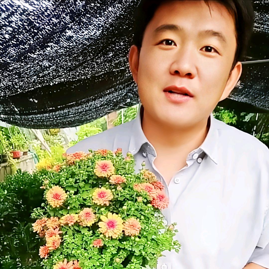 龙口高兴花卉