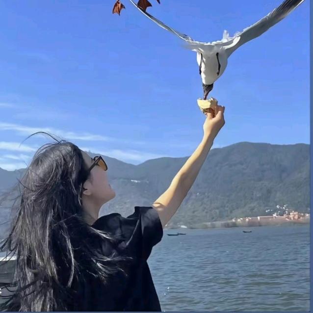 辉姐吖