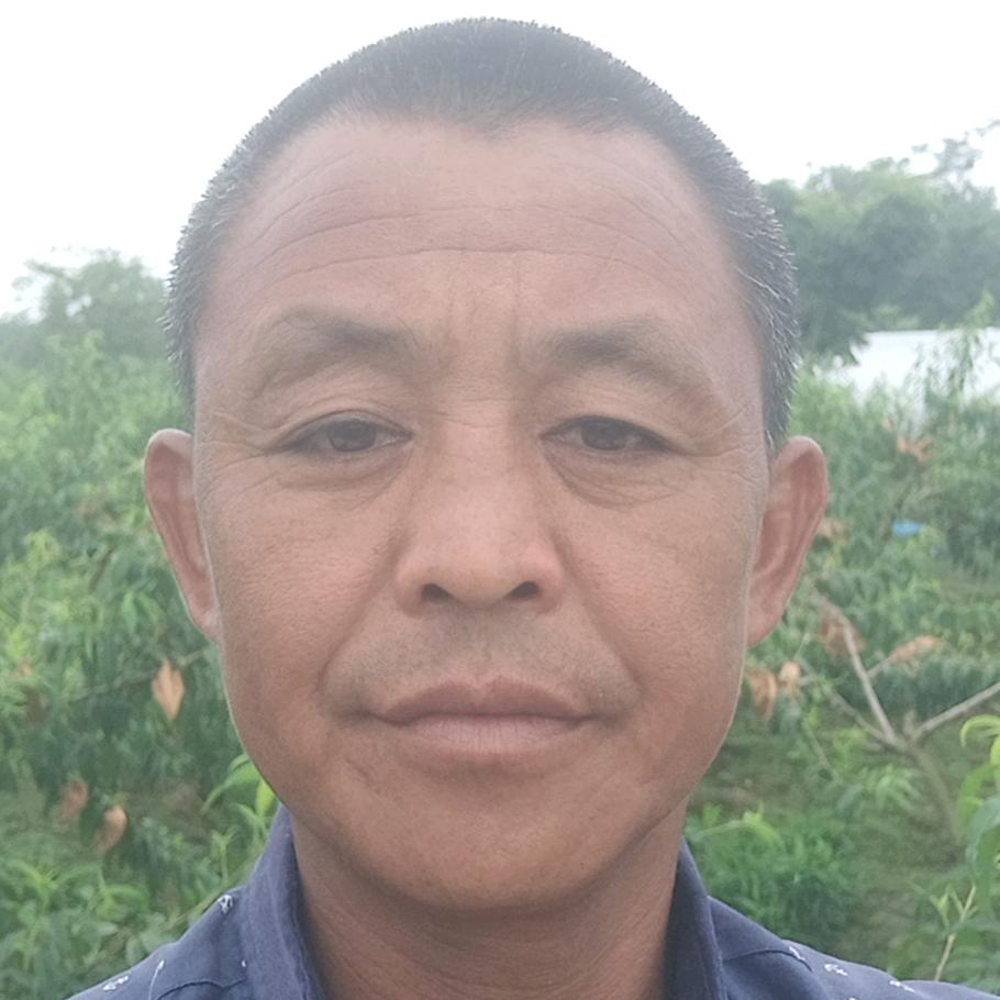 传杰家庭农场(黄桃直销)