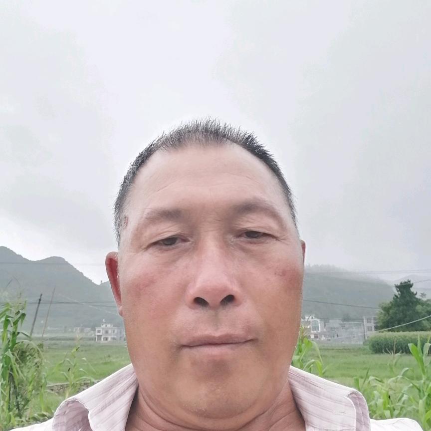 l黄光书