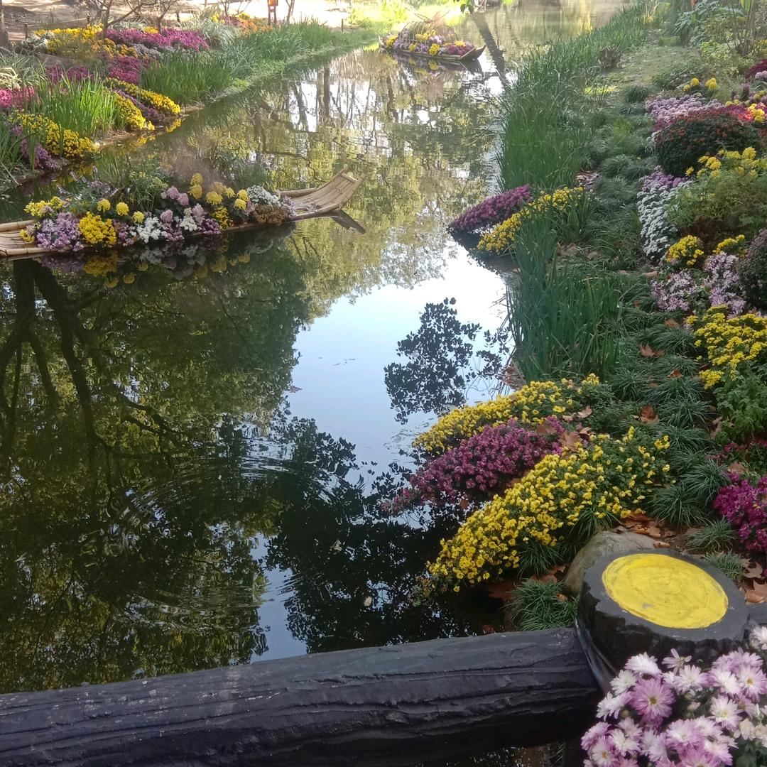 用户93295208谢谢