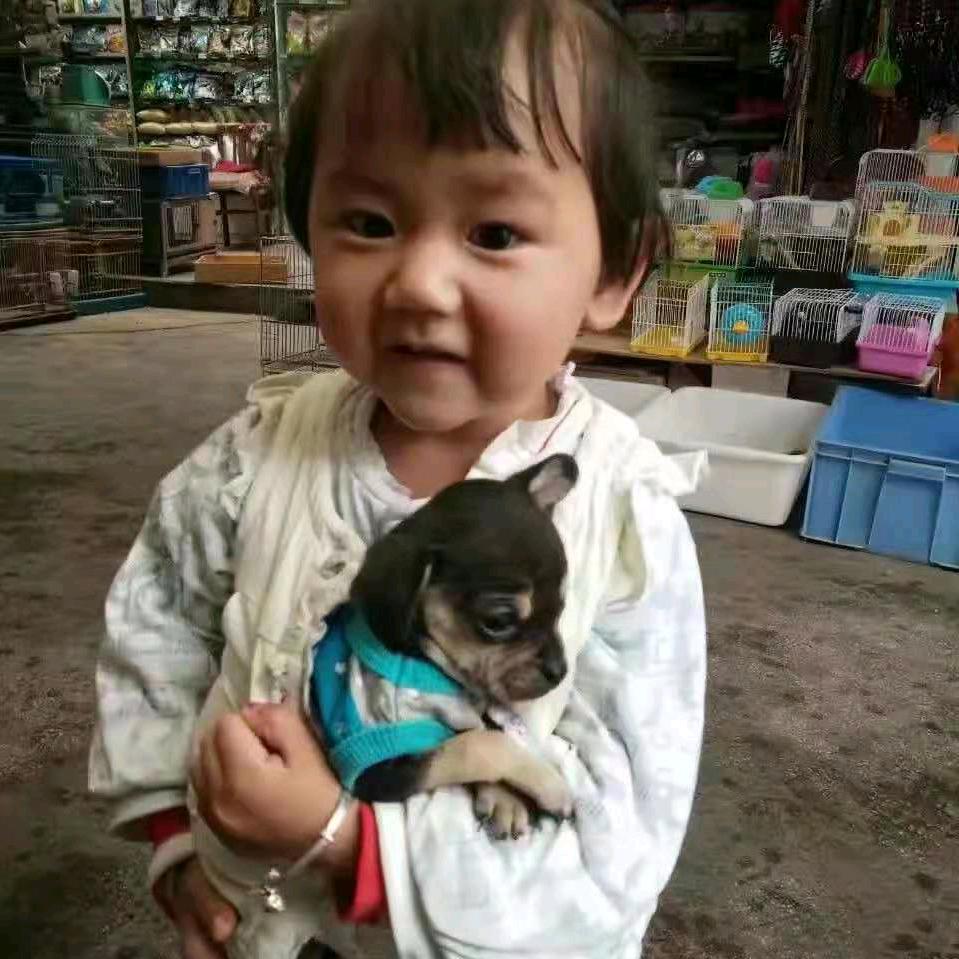 明天更好🌺🌺🌺🌺🌺🌺