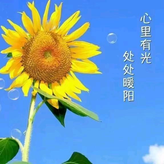 周红英123