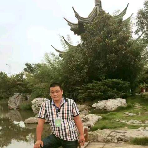 王立石花卉经菅部常年出售大小叶黄杨