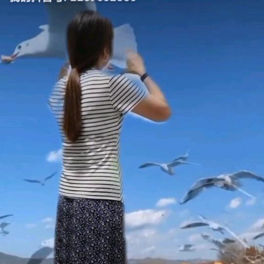 清姐