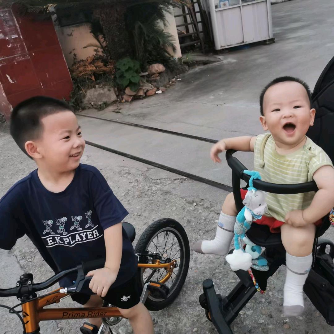 听风的羊