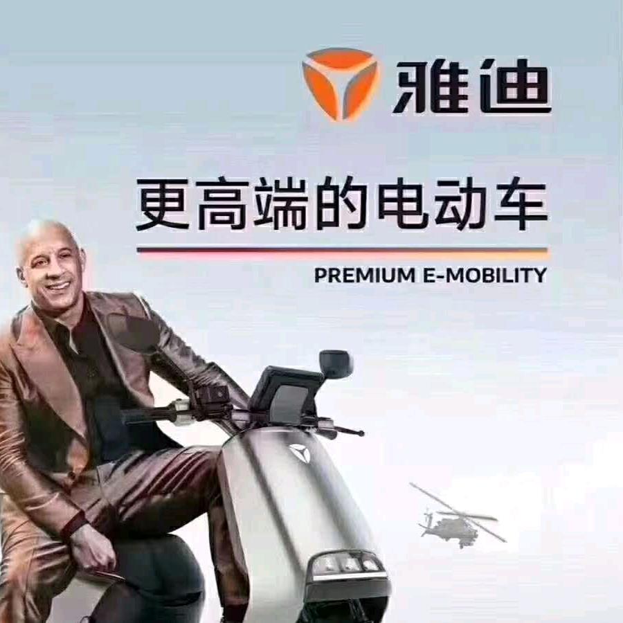 阿荣旗倪师傅雅迪电动车