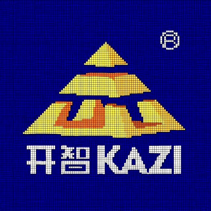 开智广东凯裕科教文化有限公司积木专卖店