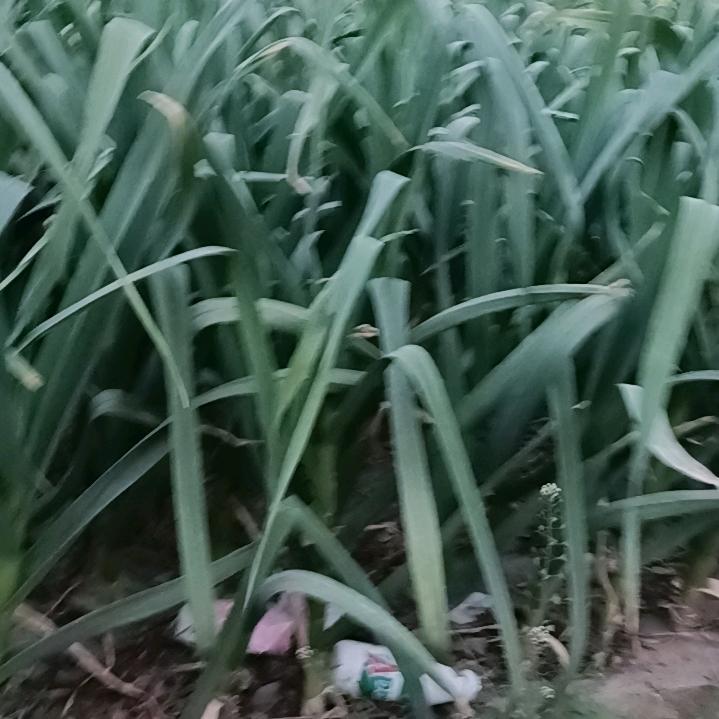 幸福永远