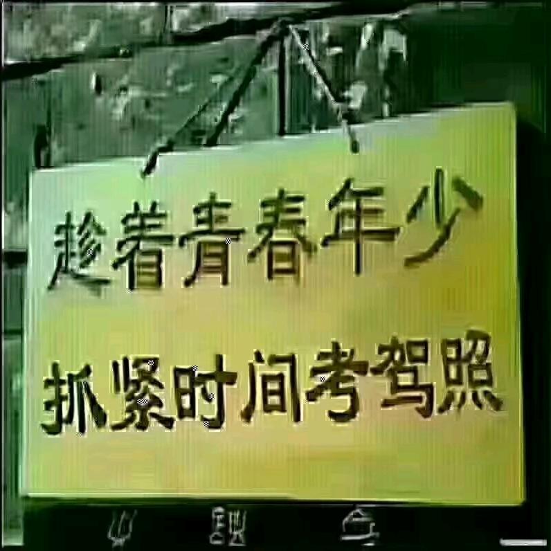 甄庄金宇驾校
