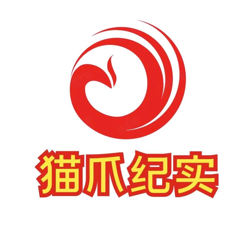 猫爪纪实录