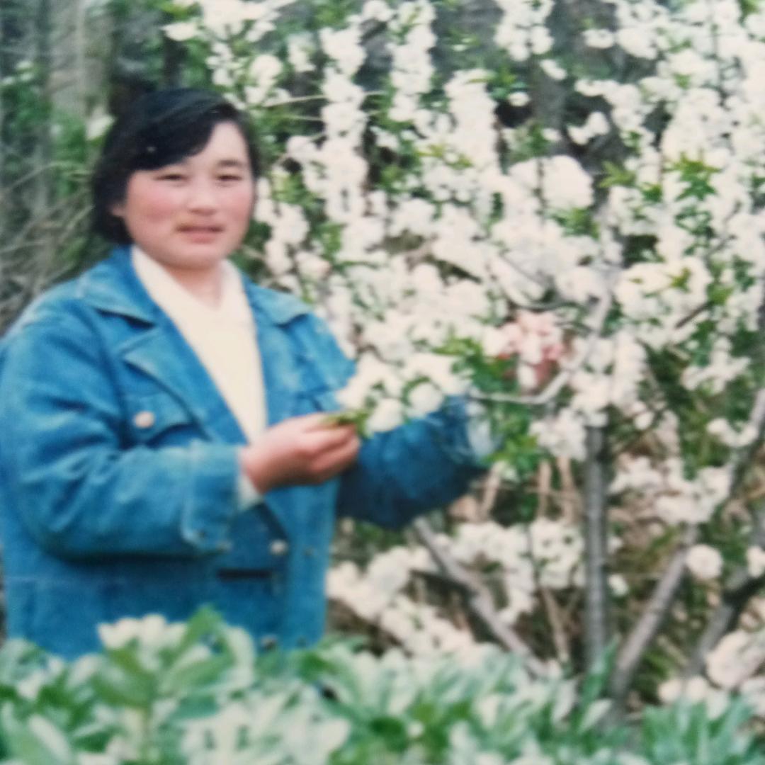 肥西山南洪桥道云酒楼