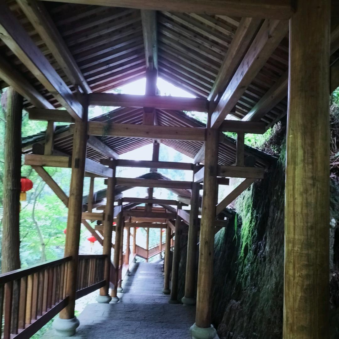 策马扬鞭进东京