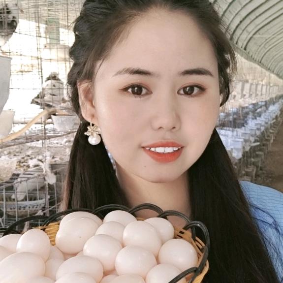 小薛的鸽子