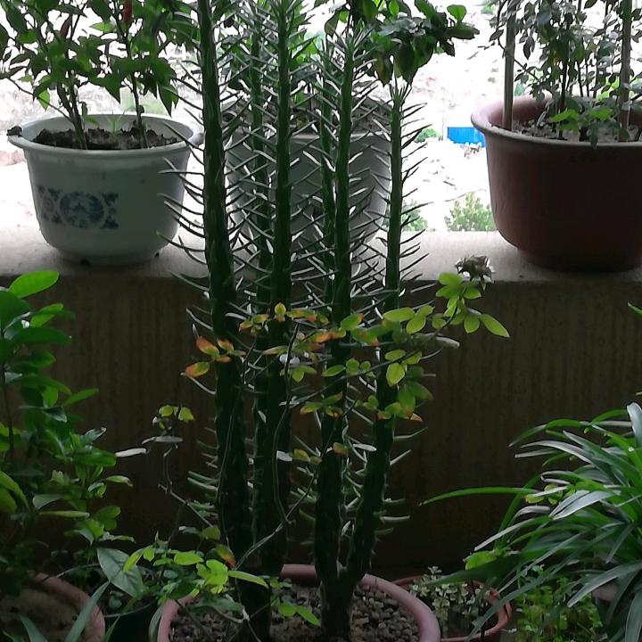 秋天里的故事