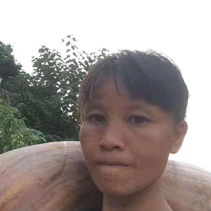 杨晴