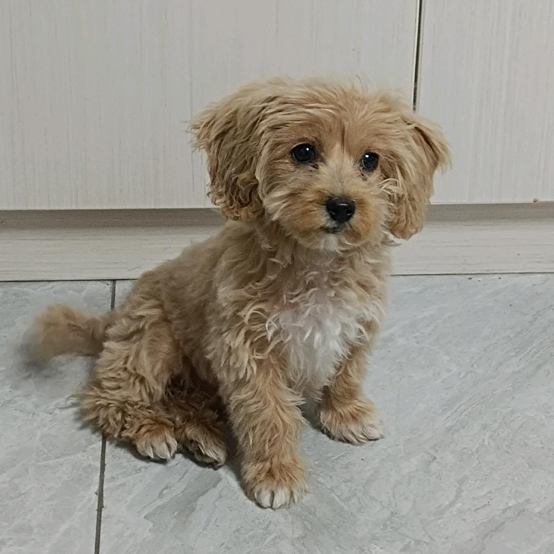 蓝色乌托邦