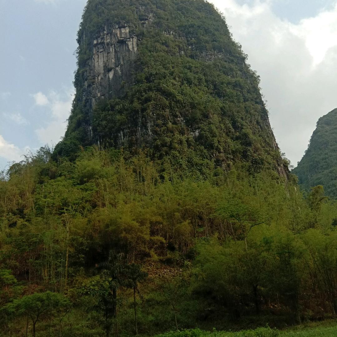 用户8032391715876