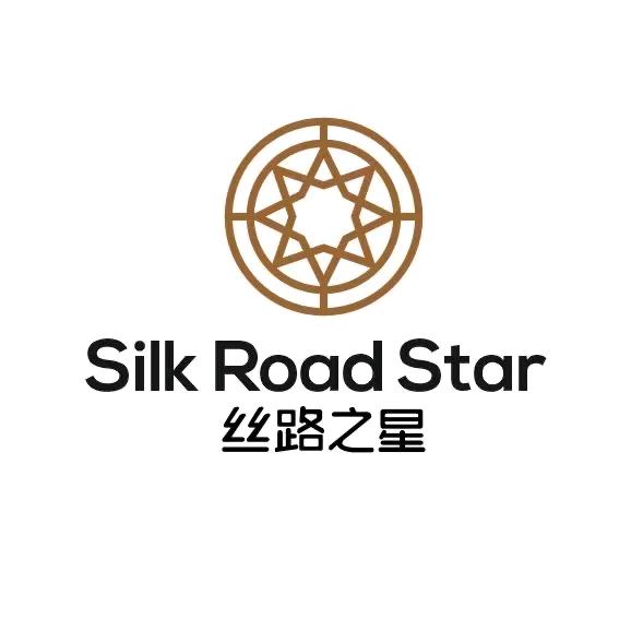 新疆丝路之星进口名车