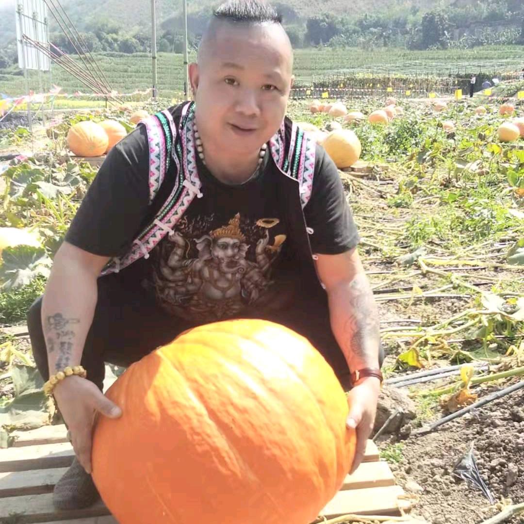 八哥