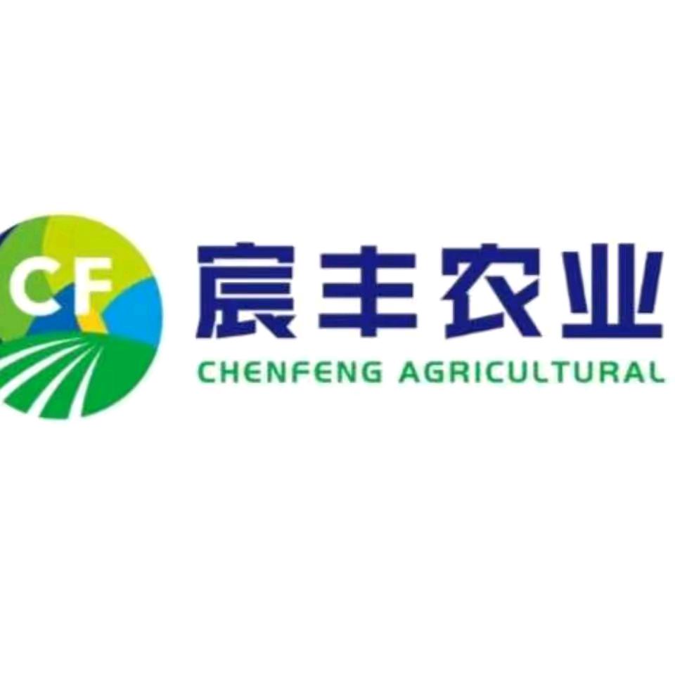 宸丰小徐