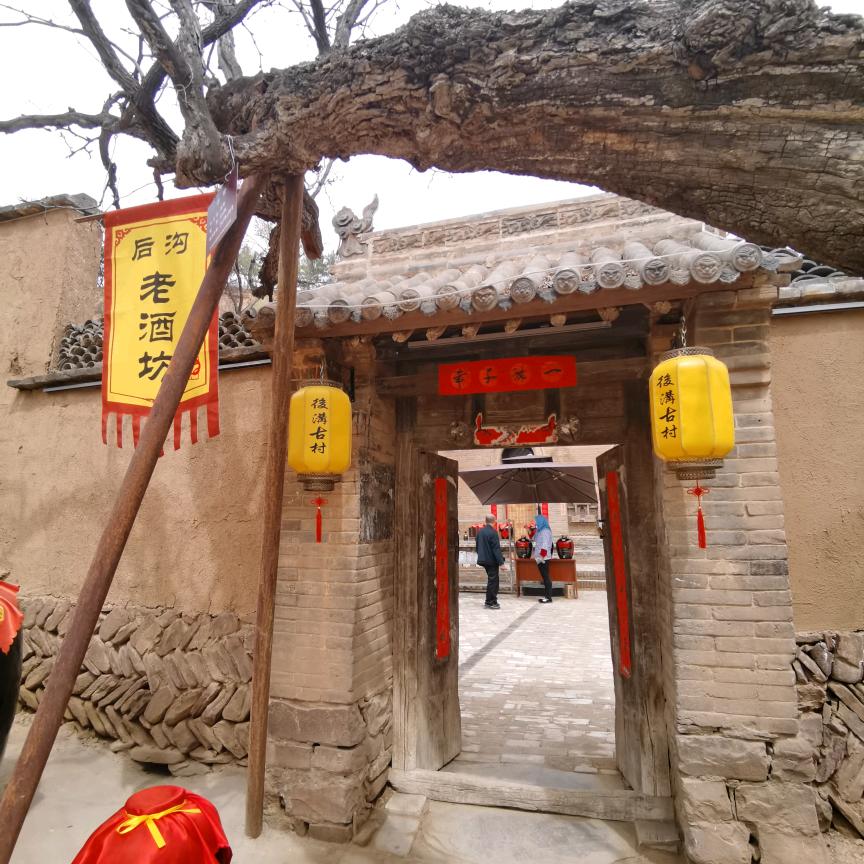 学而第一(山西)