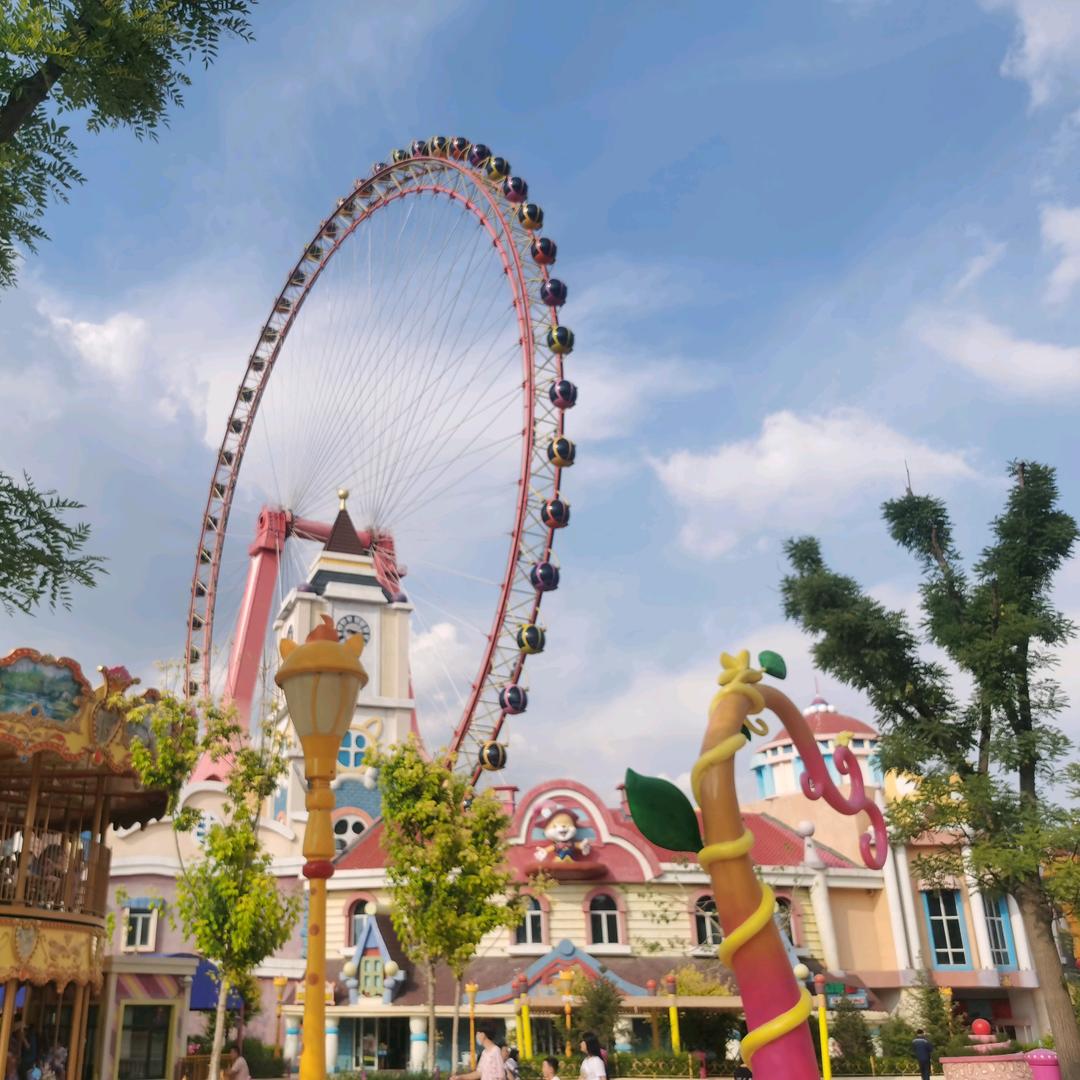 凤凰花开的路口