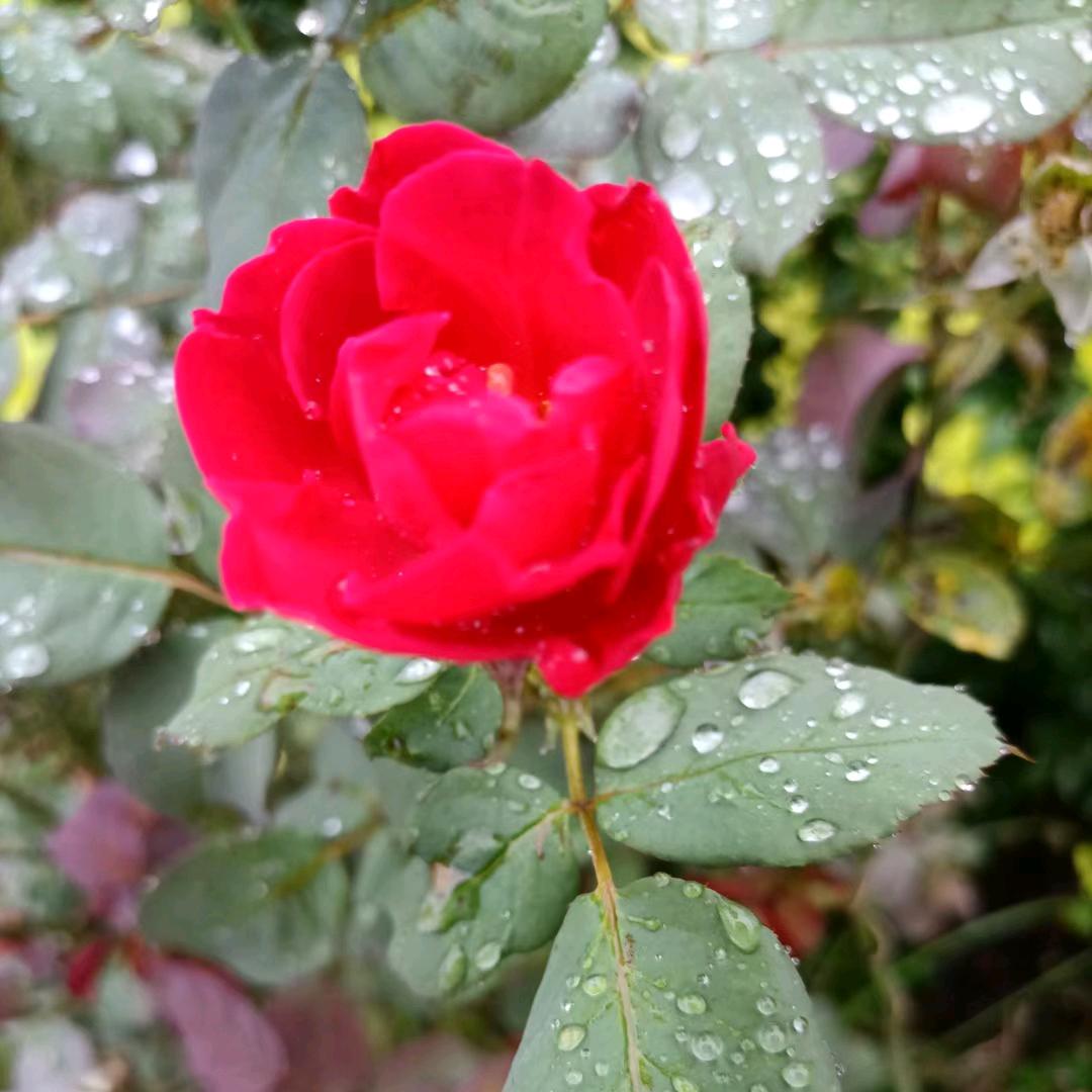 暖心💕（请别连赞👍）